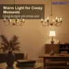 NEWDAYS brand cross-border new C35L tail-end transparent filament lamp E14 commonly used screw-type retro American energy-saving bulb, energy-saving high-brightness, ultra-long battery life, limited-time discount bulb Specification image